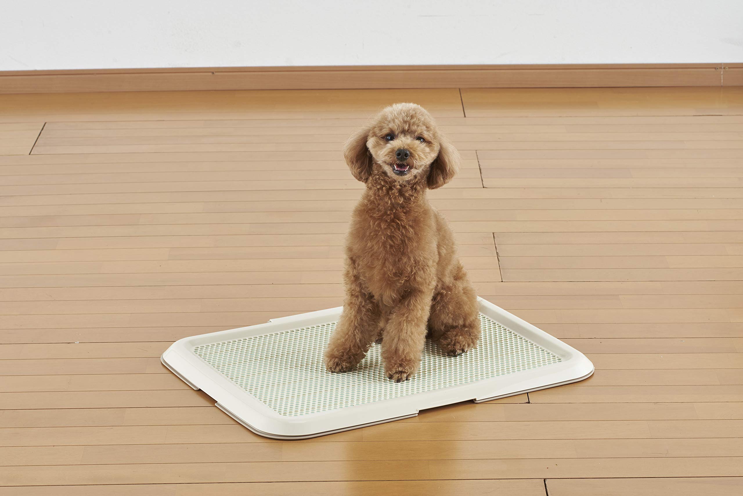 Amazon.co.jp: ボンビアルコン (Bonbi) 薄型しつけるトレー アイボリー